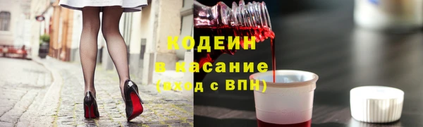 apvp Алзамай