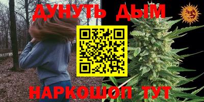дмт Кимры