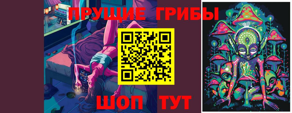 Галлюциногенные грибы Psilocybe Конаково