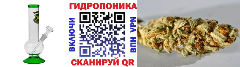 darknet какой сайт  купить наркоту  Конаково  Бошки Шишки Amnesia 
