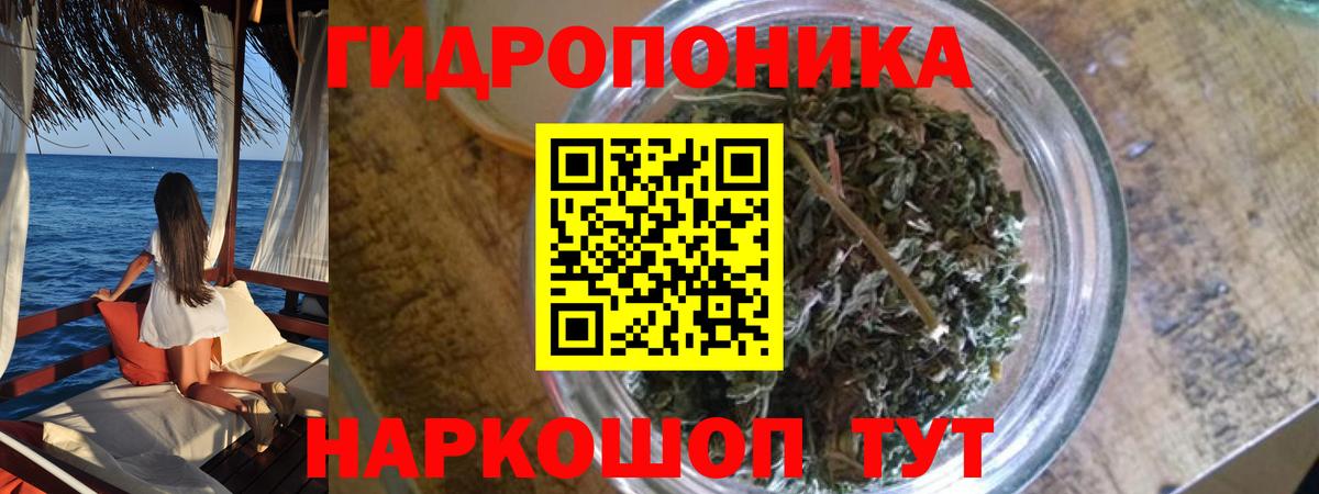Конопля White Widow  Бошки марихуана тримм  Вход с VPN  Конаково  Бошки Шишки конопля  Марихуана семена 